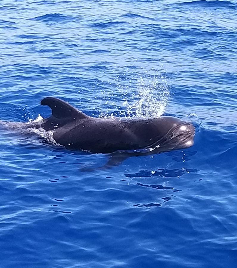 Tenerife Playa La Arena 푸에르토 데 산티아고 외부 사진