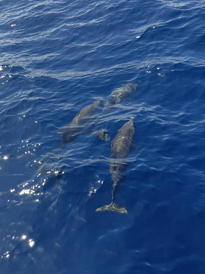 Tenerife Playa La Arena 푸에르토 데 산티아고 외부 사진